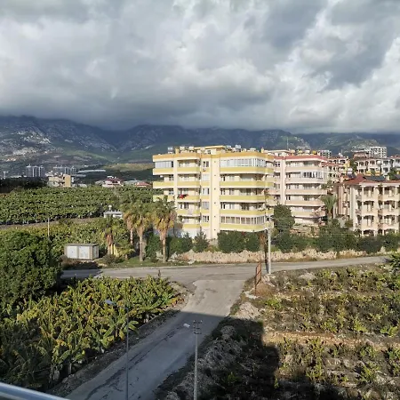 Appartement Amazing Apartment Study In Mahmutlar View To Old City