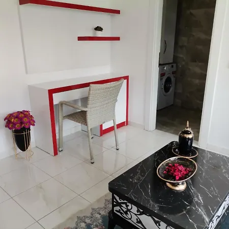 Lejlighed Amazing Apartment Study In Mahmutlar View To Old City